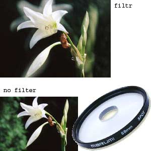 ����-������ � ������ ������� Marumi Spot 55 ��